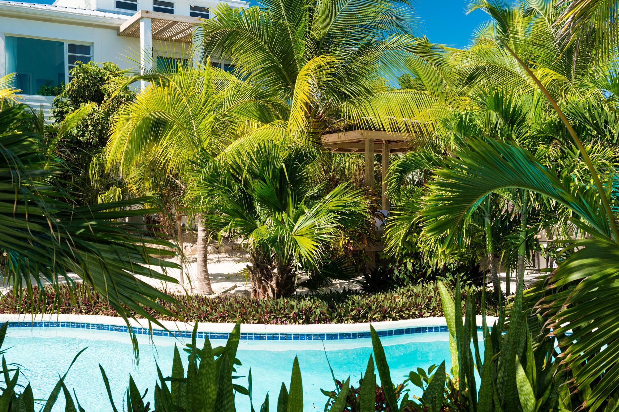 Hotel The Oasis At Grace Bay Zewnętrze zdjęcie